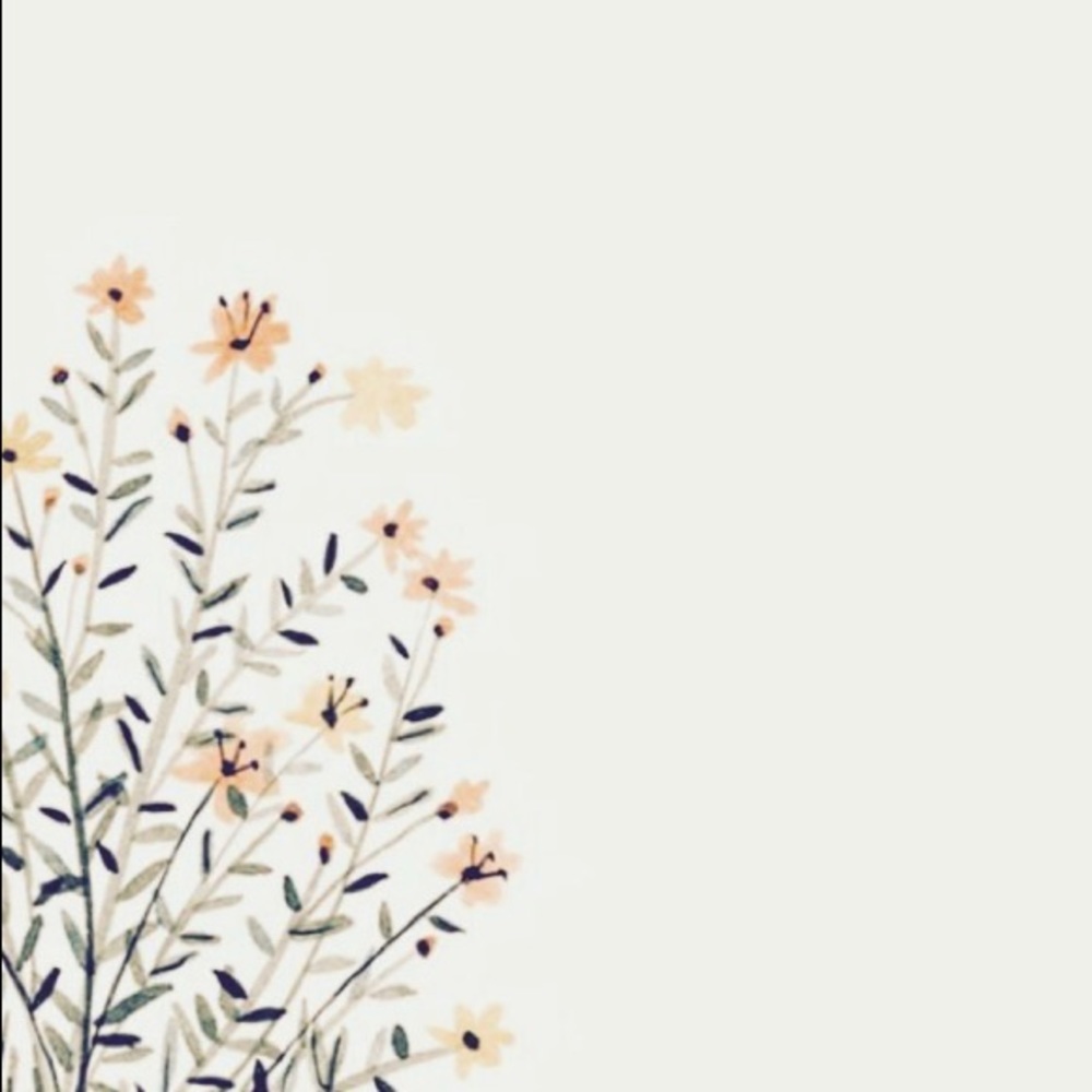 Meet your Poshers, Elena, Jasmine, and Laurel